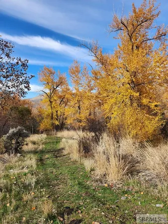 $185,000 | Tbd Burden Lane, Salmon, ID 83467
