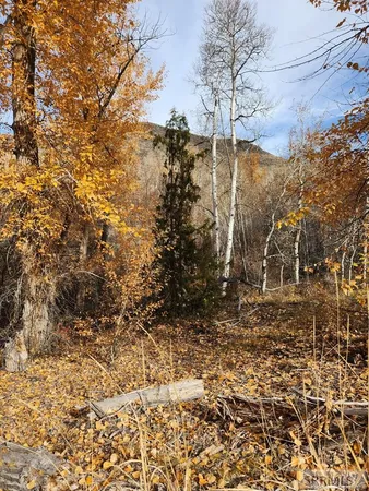 $185,000 | Tbd Burden Lane, Salmon, ID 83467
