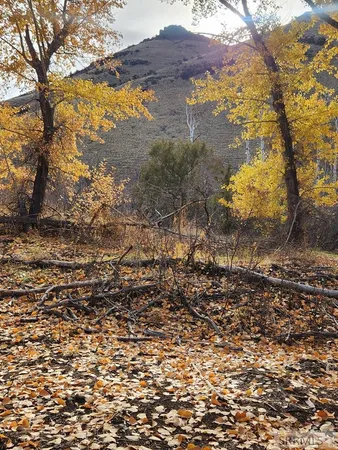 $185,000 | Tbd Burden Lane, Salmon, ID 83467