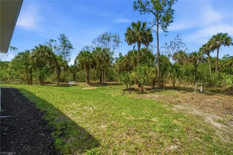 a view of a field with a tree