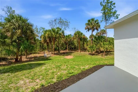 a view of a park with large trees