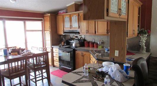 1305 Pitchfork Road Montrose, CO 81401 - Photo 4 of 12 Escarcega4