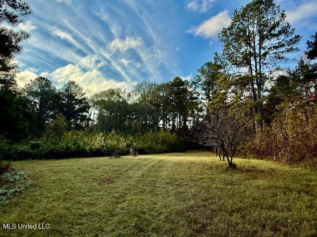 Perrytown Road Crosby, MS 39633 - Photo 12 of 27 169 Ac Perrytown Pic 8