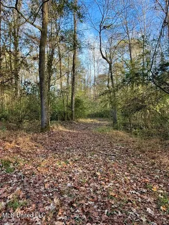 $846,000 | Perrytown Road, Crosby, MS 39633