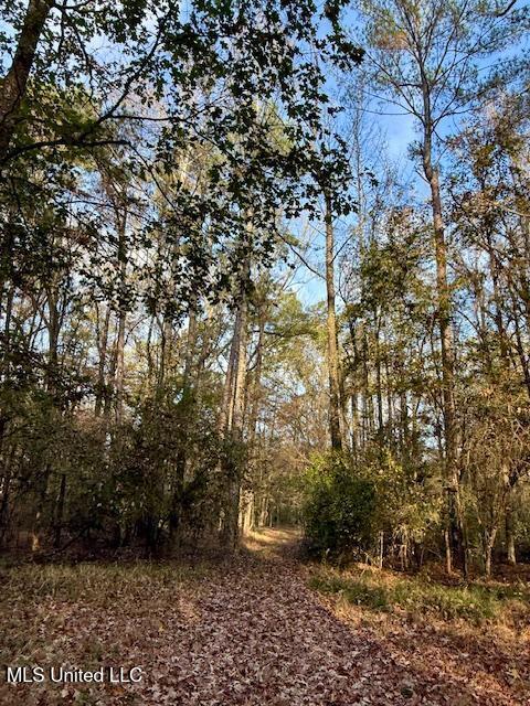 Perrytown Road Crosby, MS 39633 - Photo 14 of 27 169 Ac Perrytown Pic 10