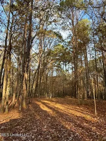 $846,000 | Perrytown Road, Crosby, MS 39633