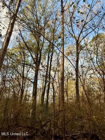 $846,000 | Perrytown Road, Crosby, MS 39633