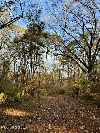 $846,000 | Perrytown Road, Crosby, MS 39633