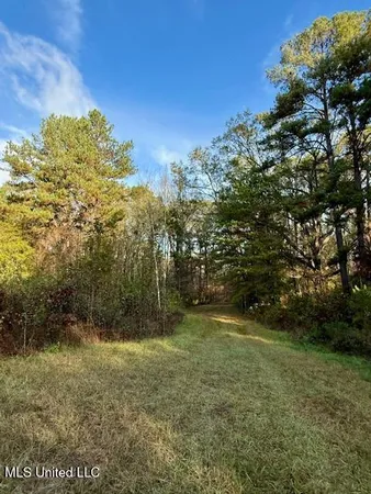 $846,000 | Perrytown Road, Crosby, MS 39633