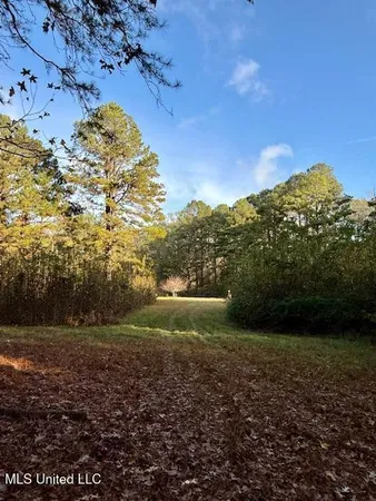 $846,000 | Perrytown Road, Crosby, MS 39633