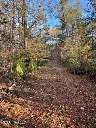 $846,000 | Perrytown Road, Crosby, MS 39633