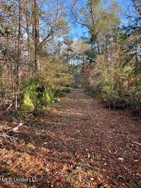 Perrytown Road Crosby, MS 39633 - Photo 20 of 27 169 Ac Perrytown Pic 16