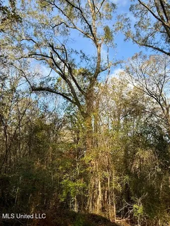 $846,000 | Perrytown Road, Crosby, MS 39633