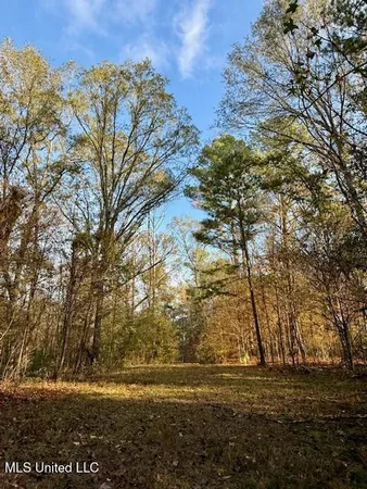 $846,000 | Perrytown Road, Crosby, MS 39633