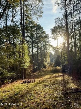 $846,000 | Perrytown Road, Crosby, MS 39633