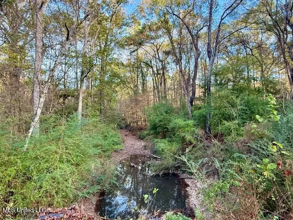 $846,000 | Perrytown Road, Crosby, MS 39633