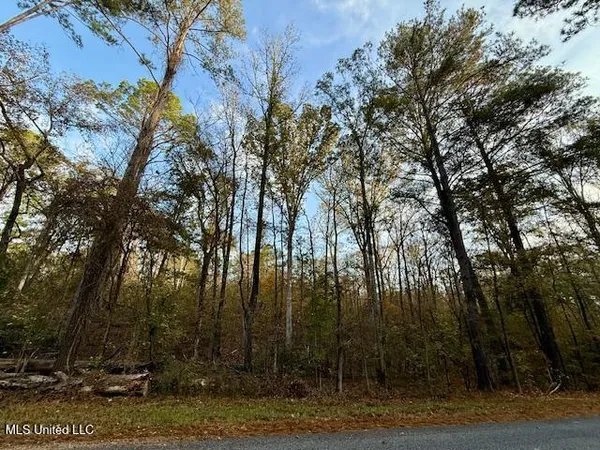 $846,000 | Perrytown Road, Crosby, MS 39633