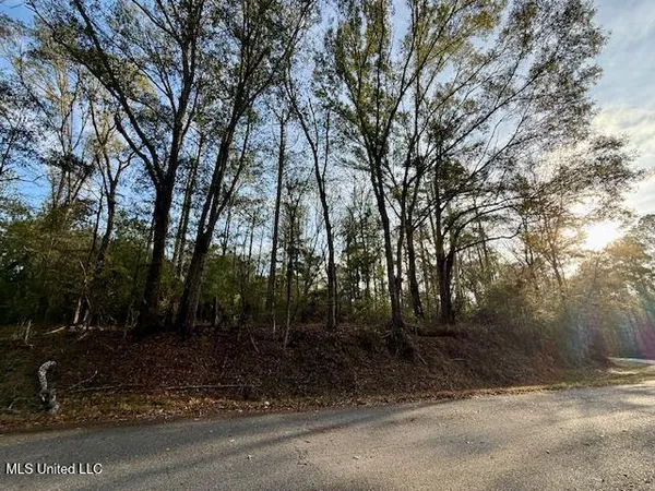 $846,000 | Perrytown Road, Crosby, MS 39633