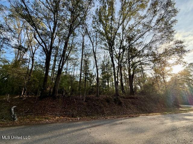 Perrytown Road Crosby, MS 39633 - Photo 26 of 27 169 Ac Perrytown Pic 24