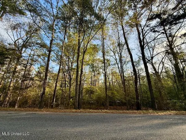 $846,000 | Perrytown Road, Crosby, MS 39633