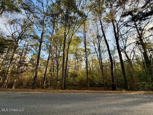 Perrytown Road Crosby, MS 39633 - Photo 27 of 27 169 Ac Perrytown Pic 25