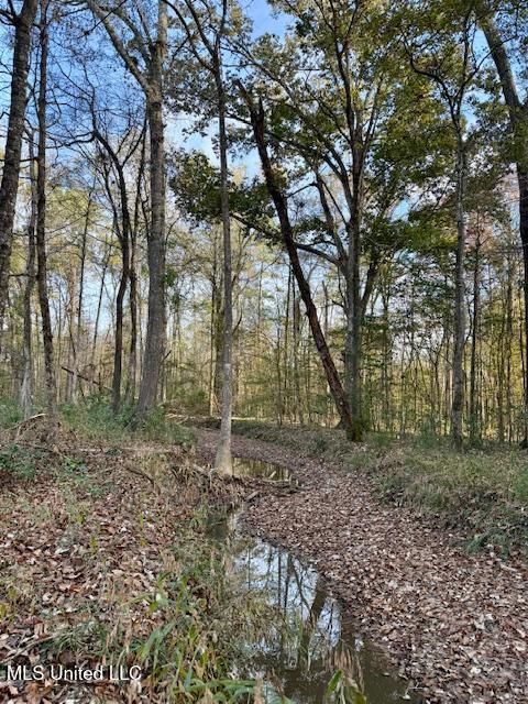 Perrytown Road Crosby, MS 39633 - Photo 5 of 27 169 Ac Perrytown Pic 1