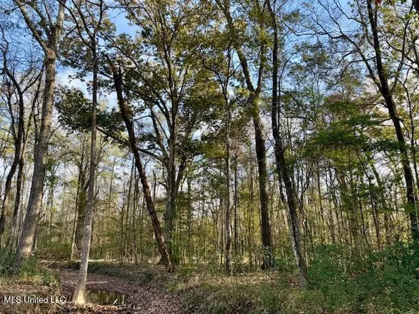 $846,000 | Perrytown Road, Crosby, MS 39633