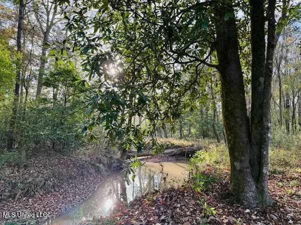 $846,000 | Perrytown Road, Crosby, MS 39633