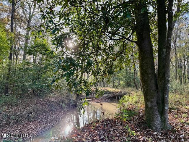 Perrytown Road Crosby, MS 39633 - Photo 7 of 27 169 Ac Perrytown Pic 3