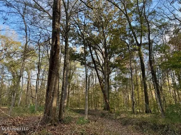 $846,000 | Perrytown Road, Crosby, MS 39633