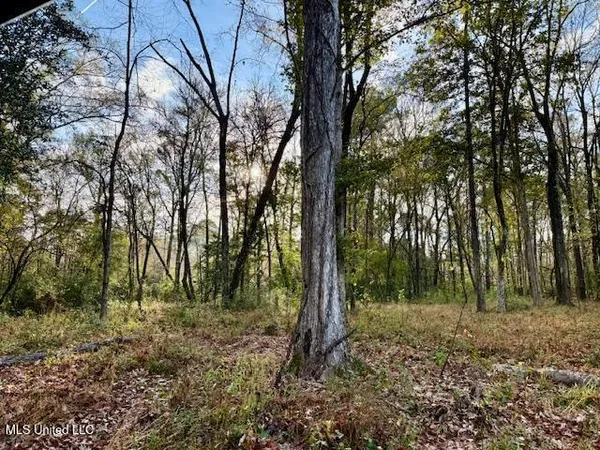 $846,000 | Perrytown Road, Crosby, MS 39633