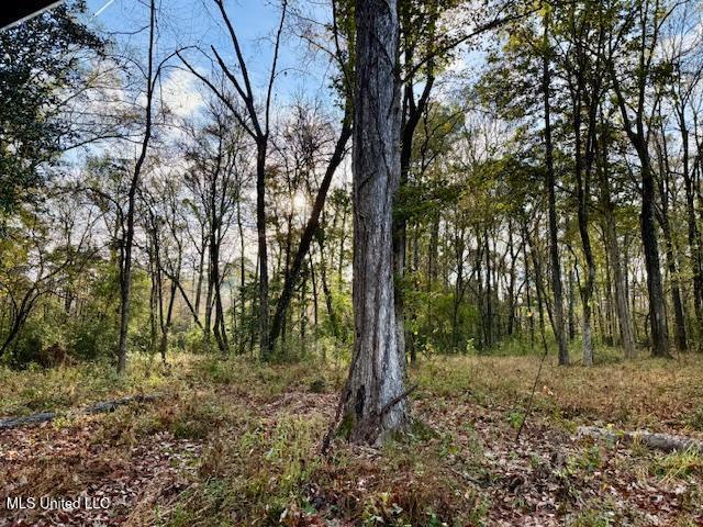 Perrytown Road Crosby, MS 39633 - Photo 9 of 27 169 Ac Perrytown Pic 5