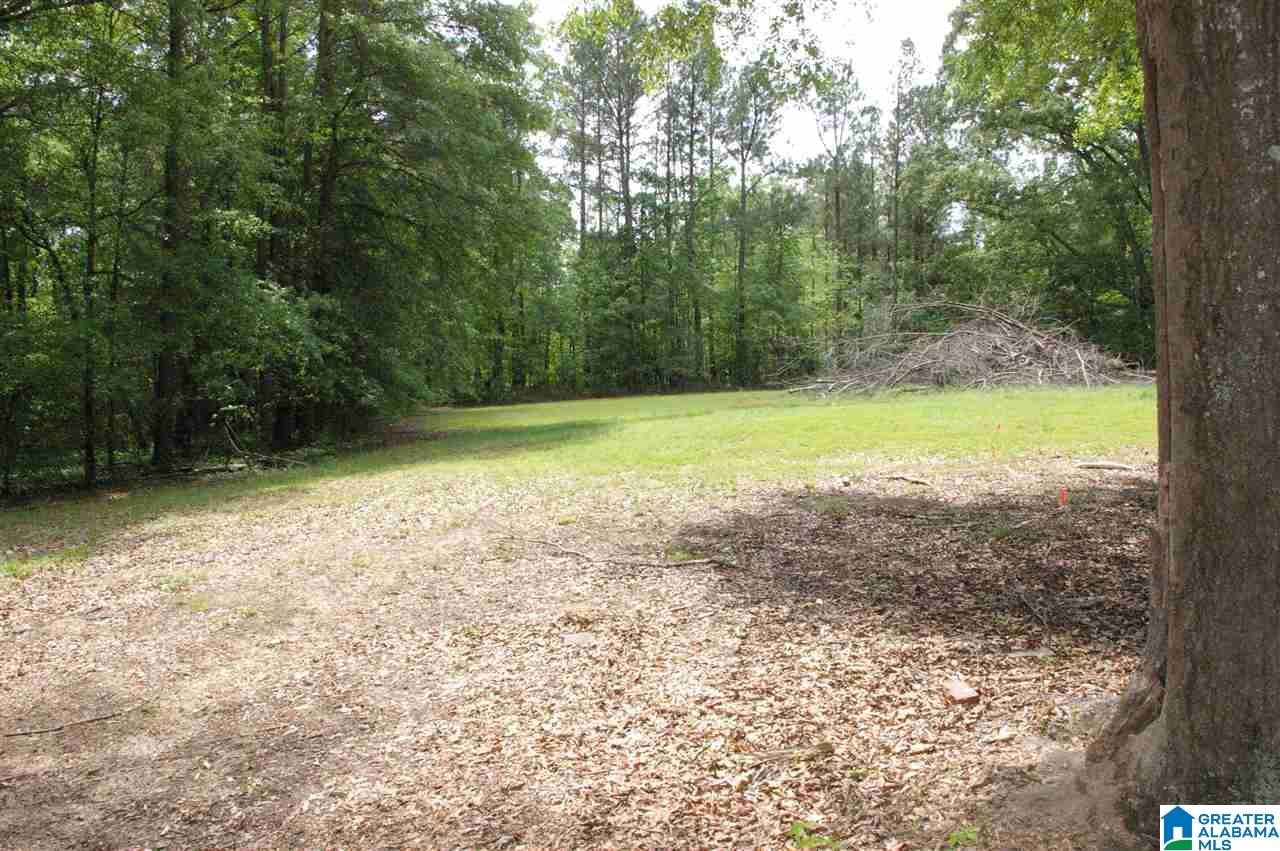 4570 Richeytown Road Oxford, AL 36203 - Photo 39 of 45