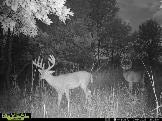 $145,000 | 0 East 27th Terrace, Pittsburg, KS 66762