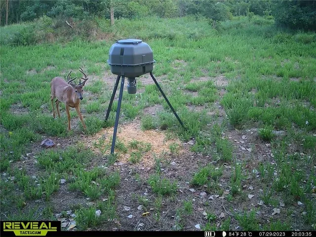 $145,000 | 0 East 27th Terrace, Pittsburg, KS 66762