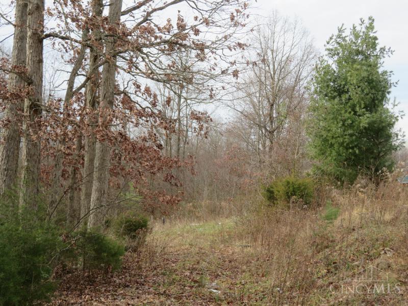 7730 Beavers Ridge Road Piketon, OH 45661 - Photo 9 of 15