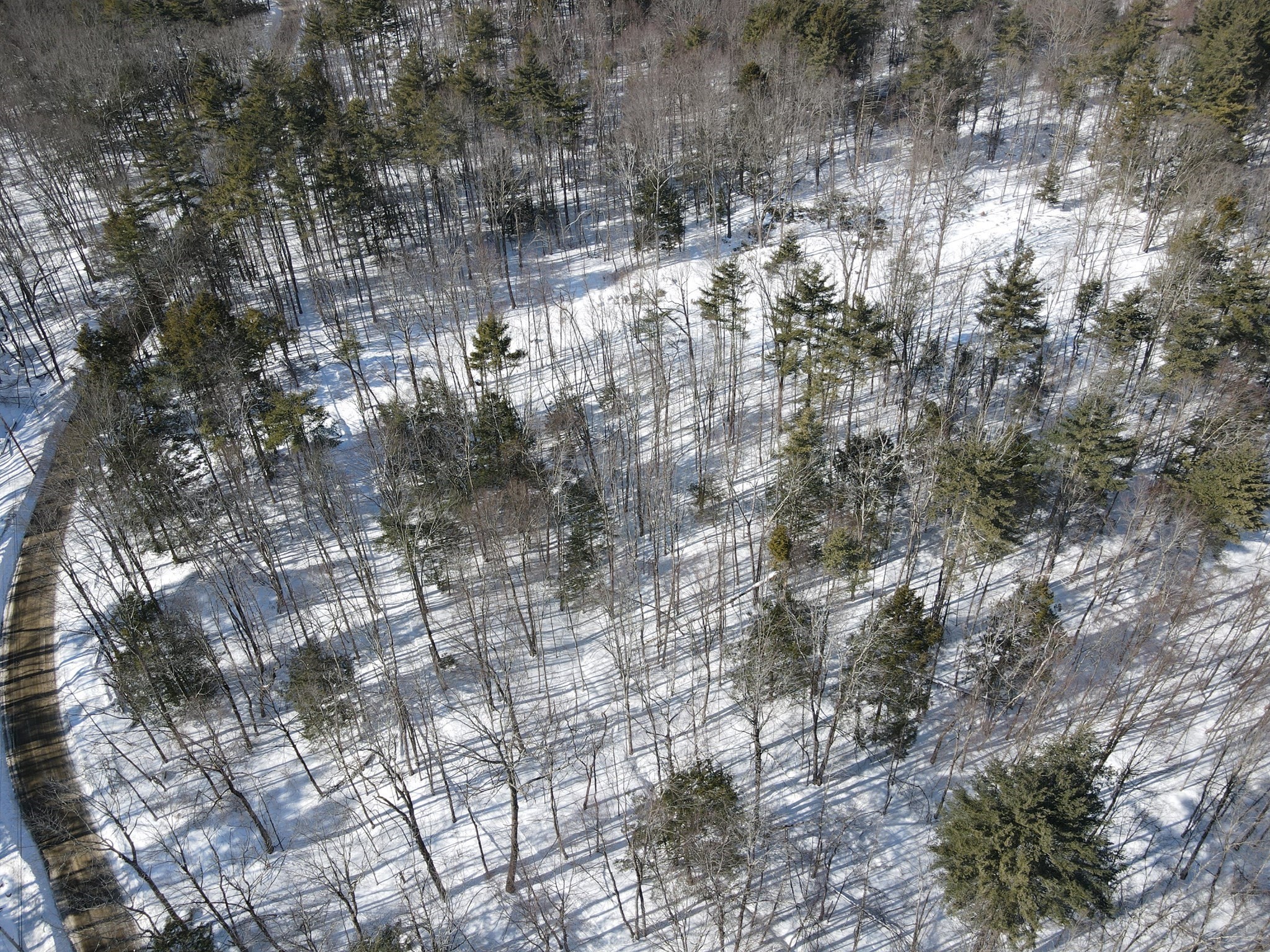 0 Fox Hill Road Bernardston, MA 01337 - Photo 15 of 18 Gallery Image 15