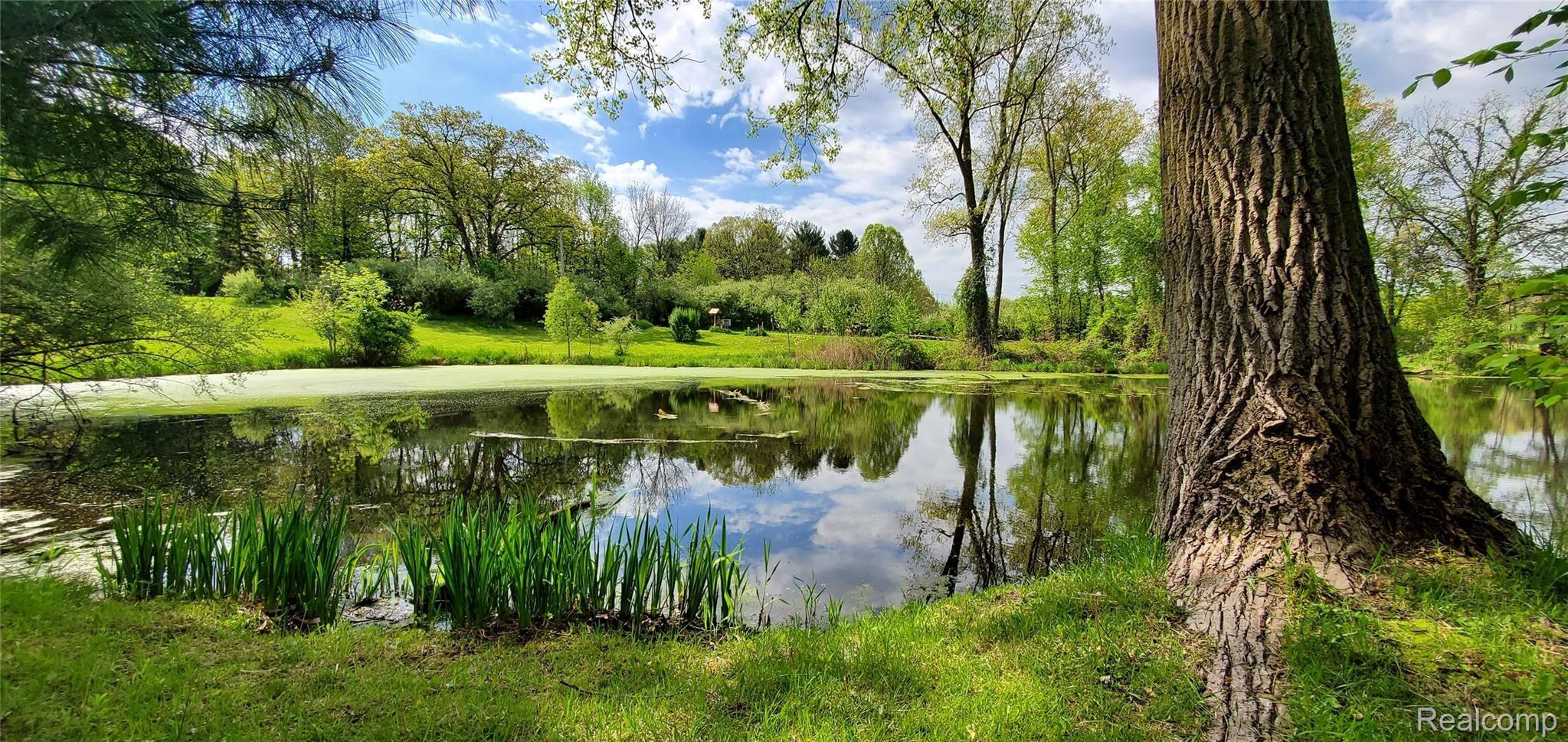 5520 Lowe Road Fowlerville, MI 48836 - Photo 21 of 86 5520 W Lowe Rd View of Pond With Reflection of The Sky