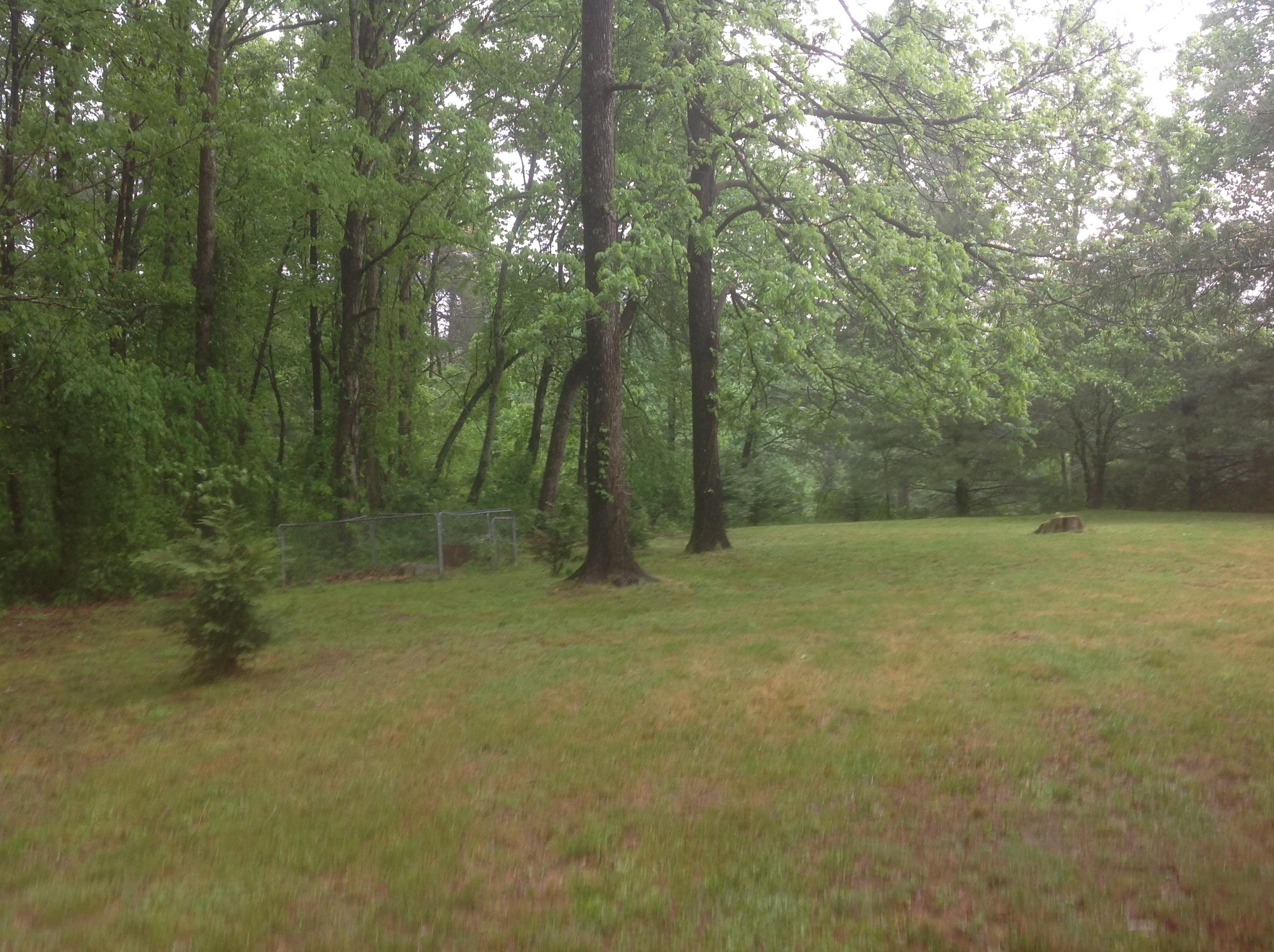 751 Cyrus Daniels Road Evensville, TN 37332 - Photo 19 of 27 19 BACK OF HOME VIEW 2