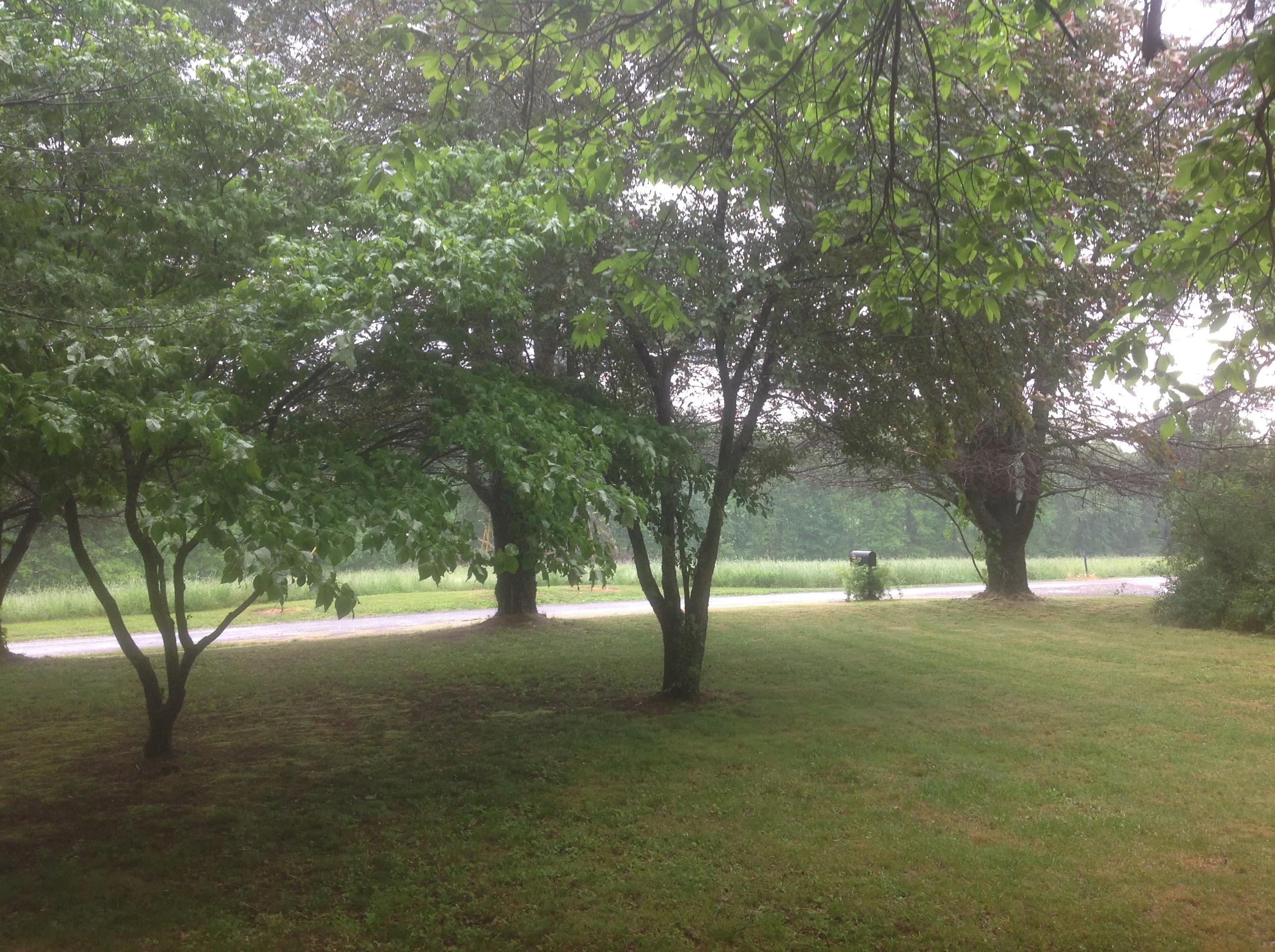 751 Cyrus Daniels Road Evensville, TN 37332 - Photo 3 of 27 3 VIEW FROM FRONT PORCH