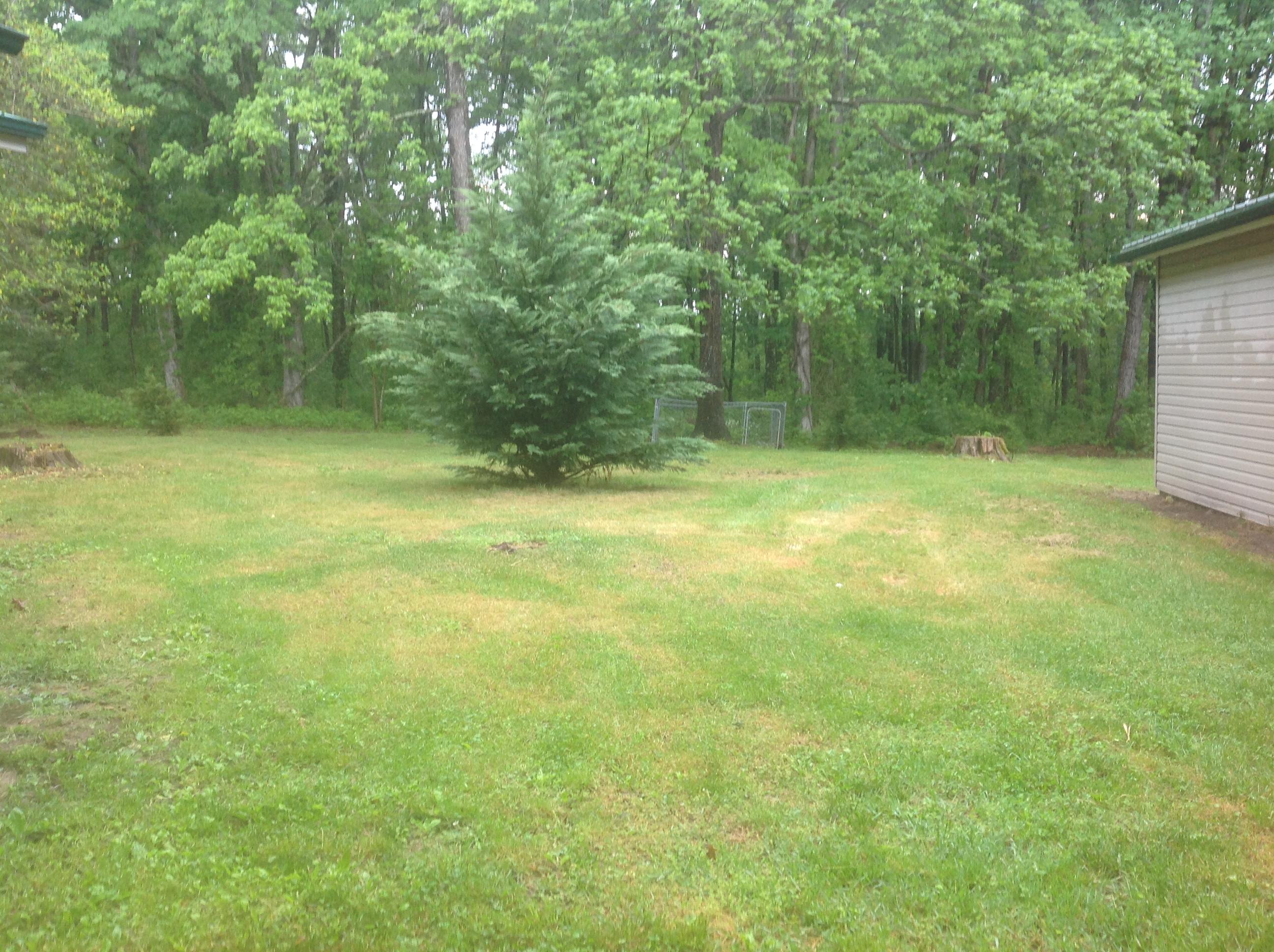 751 Cyrus Daniels Road Evensville, TN 37332 - Photo 24 of 27 24 YARD VW 2