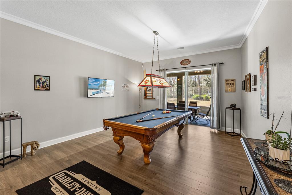 27154 Raven Brook Road Wesley Chapel, FL 33544 - Photo 23 of 65 a room with furniture pool table wooden floor and windows