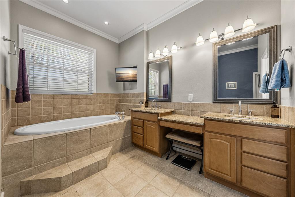 27154 Raven Brook Road Wesley Chapel, FL 33544 - Photo 29 of 65 a bathroom with a granite countertop bathtub a sink and a large mirror