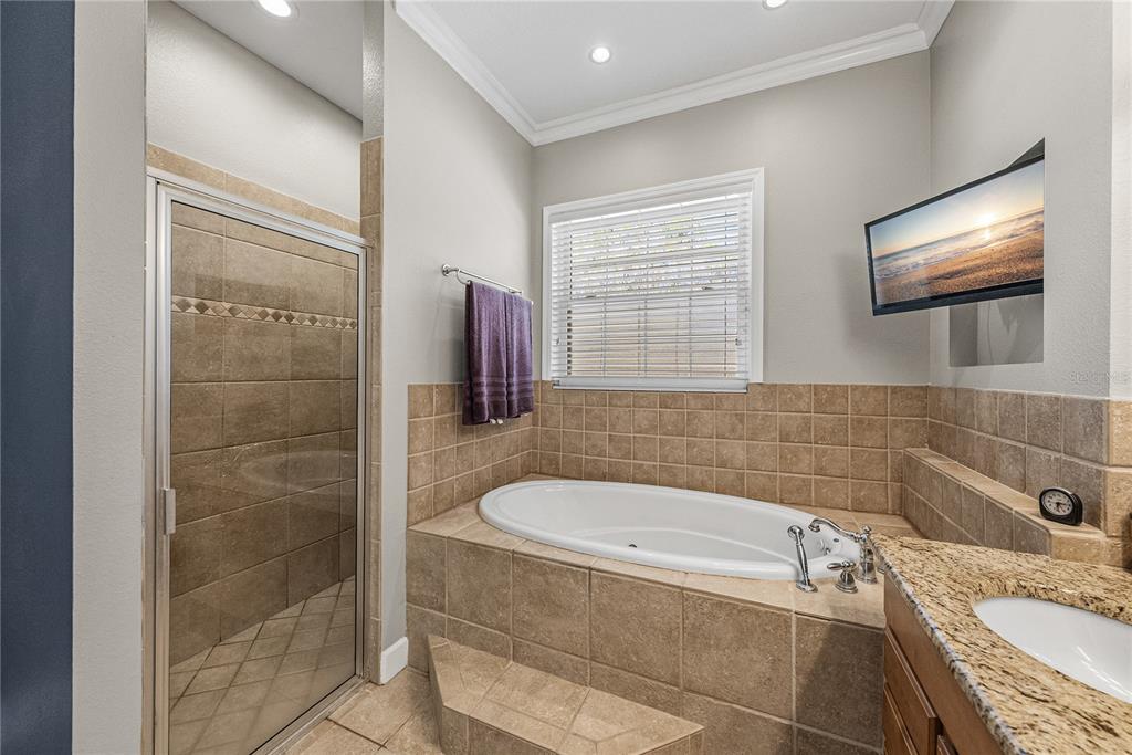 27154 Raven Brook Road Wesley Chapel, FL 33544 - Photo 30 of 65 a bathroom with a granite countertop tub sink and glass door