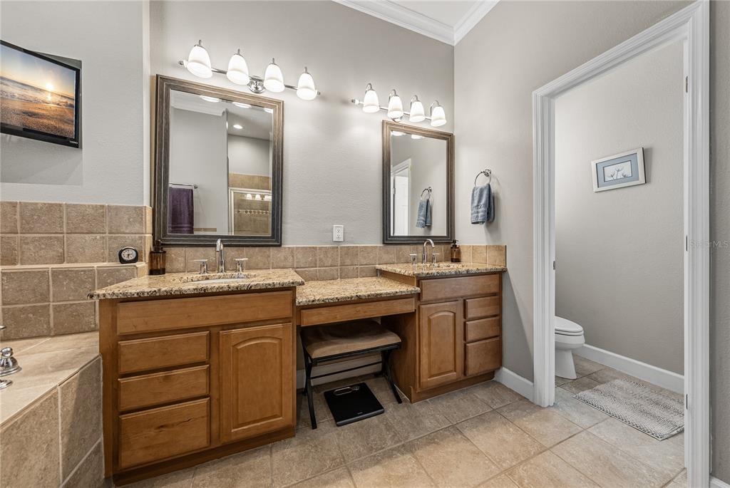 27154 Raven Brook Road Wesley Chapel, FL 33544 - Photo 32 of 65 a spacious bathroom with a granite countertop sink a mirror and a