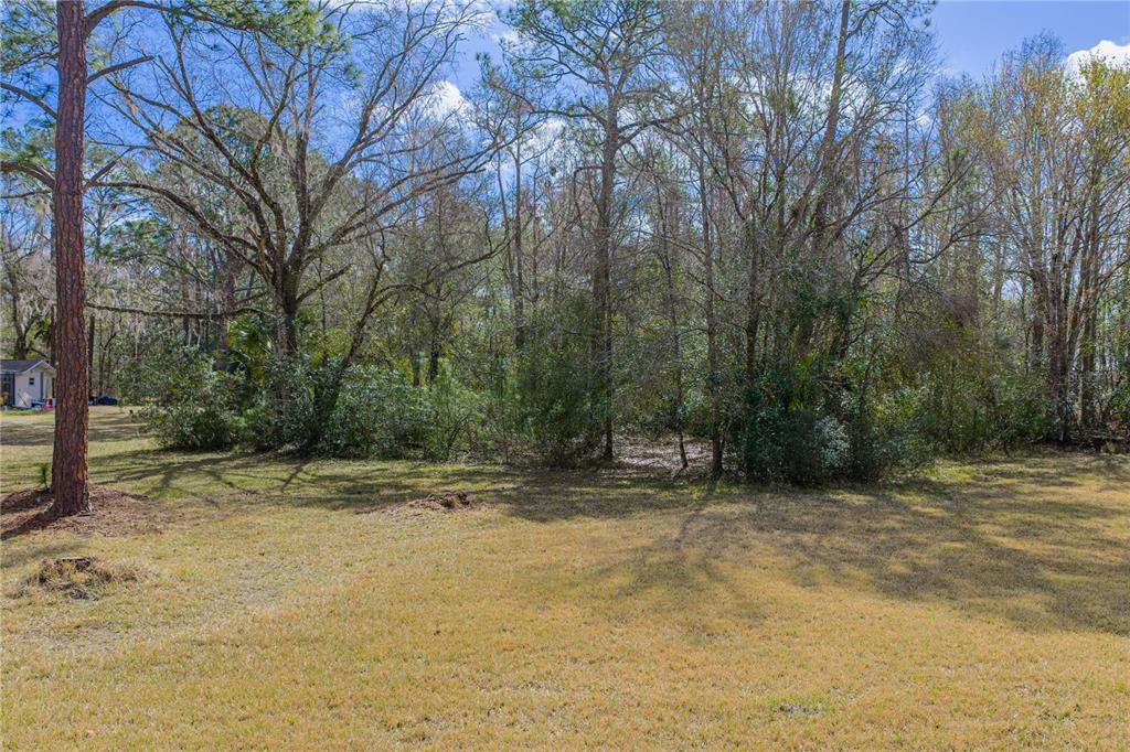 27154 Raven Brook Road Wesley Chapel, FL 33544 - Photo 64 of 65 a view of a yard with trees