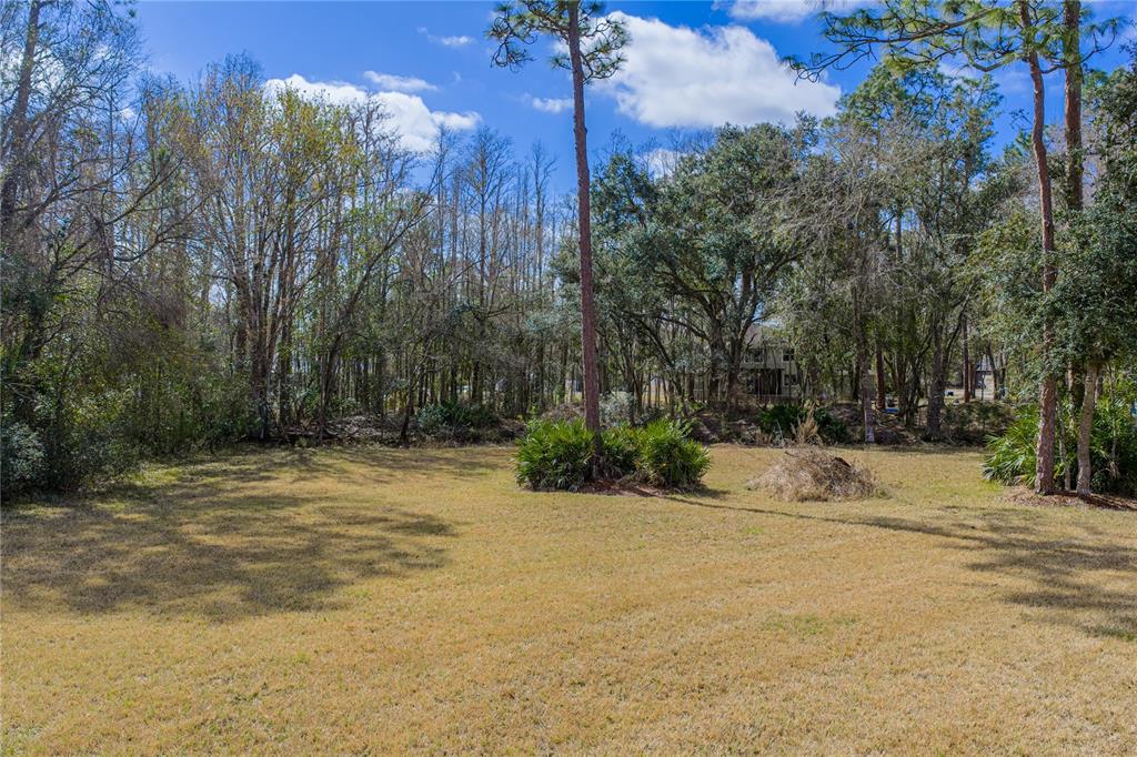 27154 Raven Brook Road Wesley Chapel, FL 33544 - Photo 65 of 65