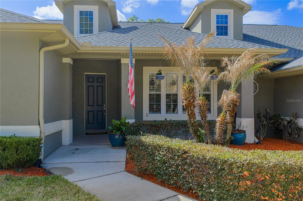 27154 Raven Brook Road Wesley Chapel, FL 33544 - Photo 7 of 65 a view of a house with potted plants