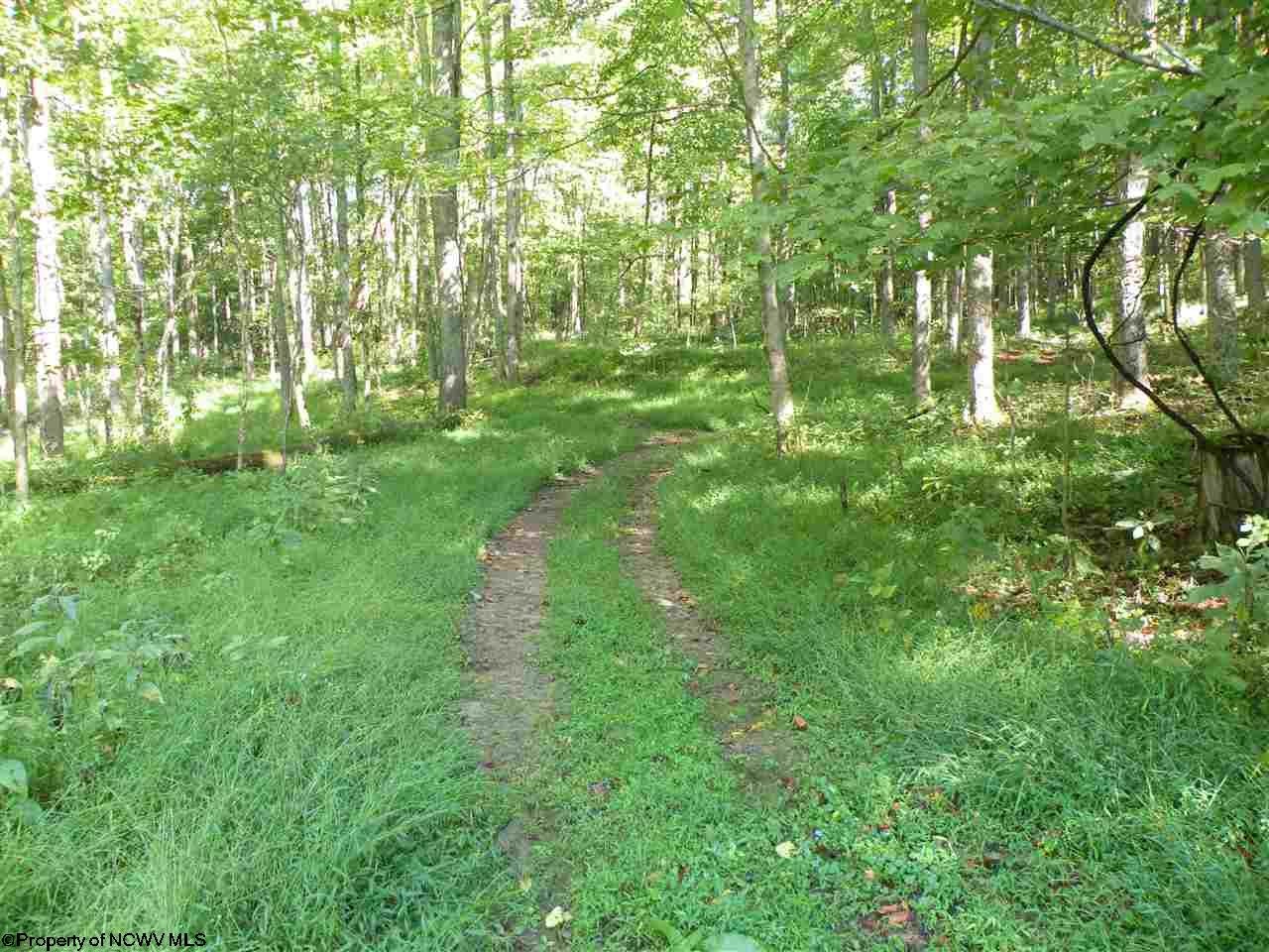 381 Co Rte 1/1 Bridgeport, WV 26330 - Photo 15 of 19 Gallery Image 15