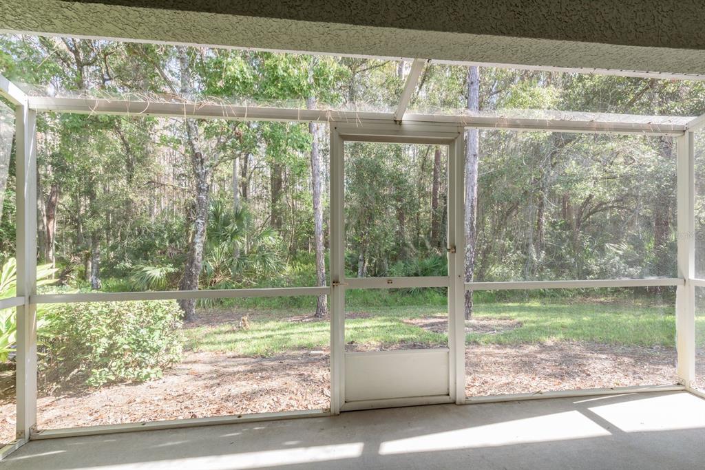 3521 Kings Road, Unit 102 Palm Harbor, FL 34685 - Photo 25 of 50 a view of a glass door with a yard